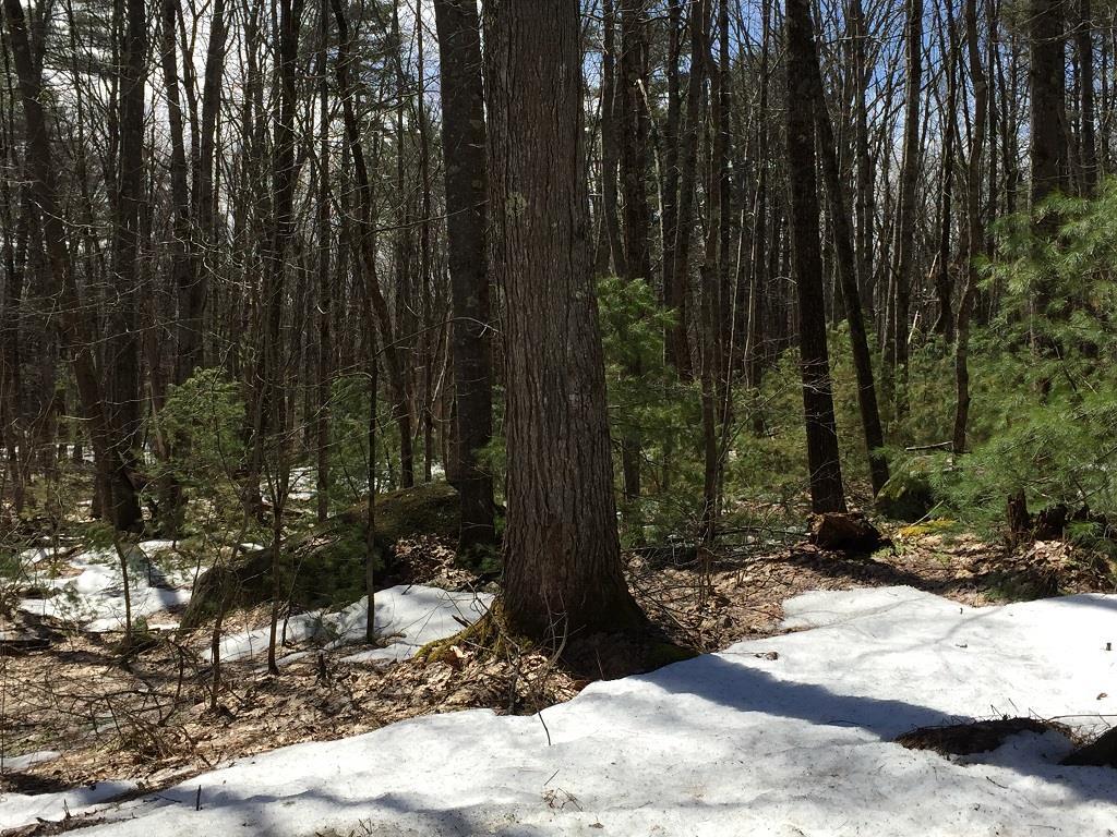 Map#3-1a Tatnic Road Wells, ME 04090 - Photo 11 of 11 Photo