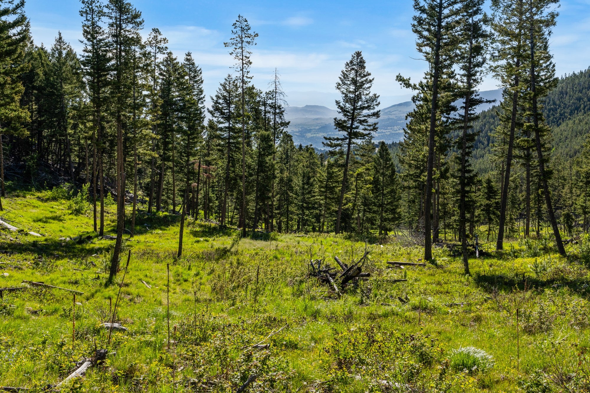 100 Big Indian Gulch Road Clancy, MT 59634 - Photo 63 of 71 Gallery Image 63