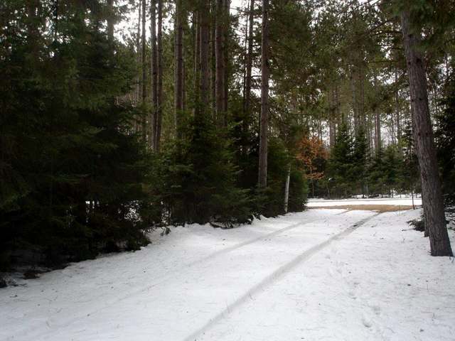 6616 Cw Smith Road Three Lakes, WI 54562 - Photo 8 of 11 Gallery Image 8