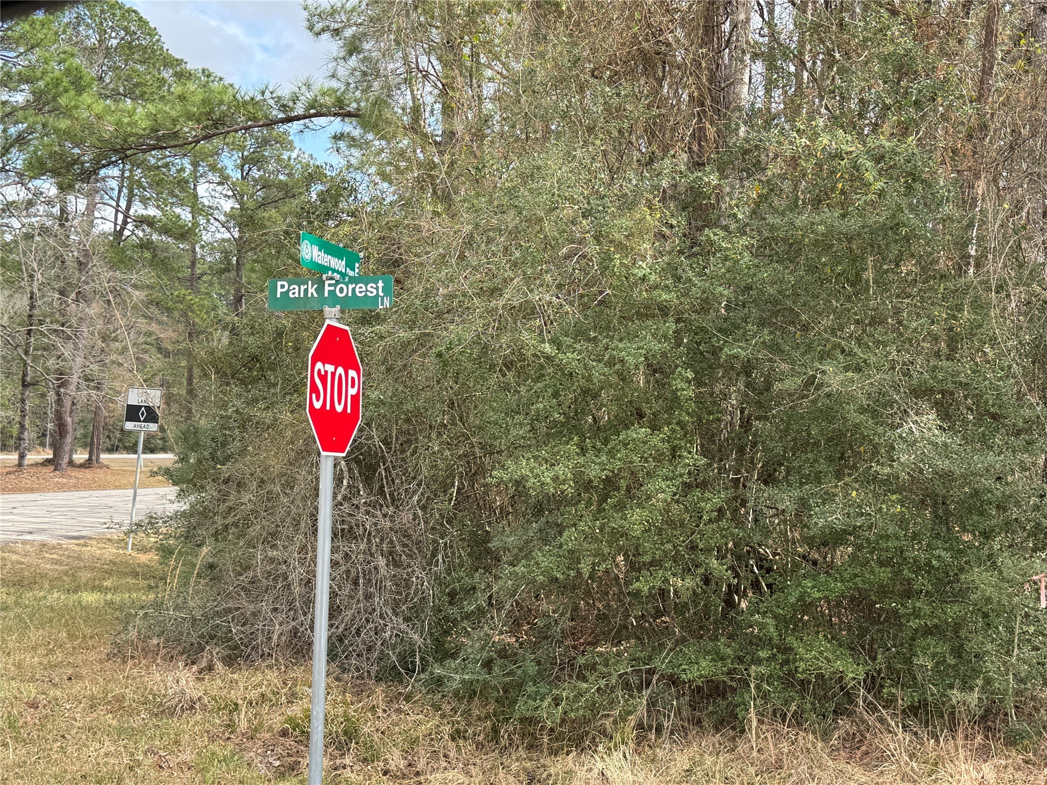 Lot is right behind the street sign.