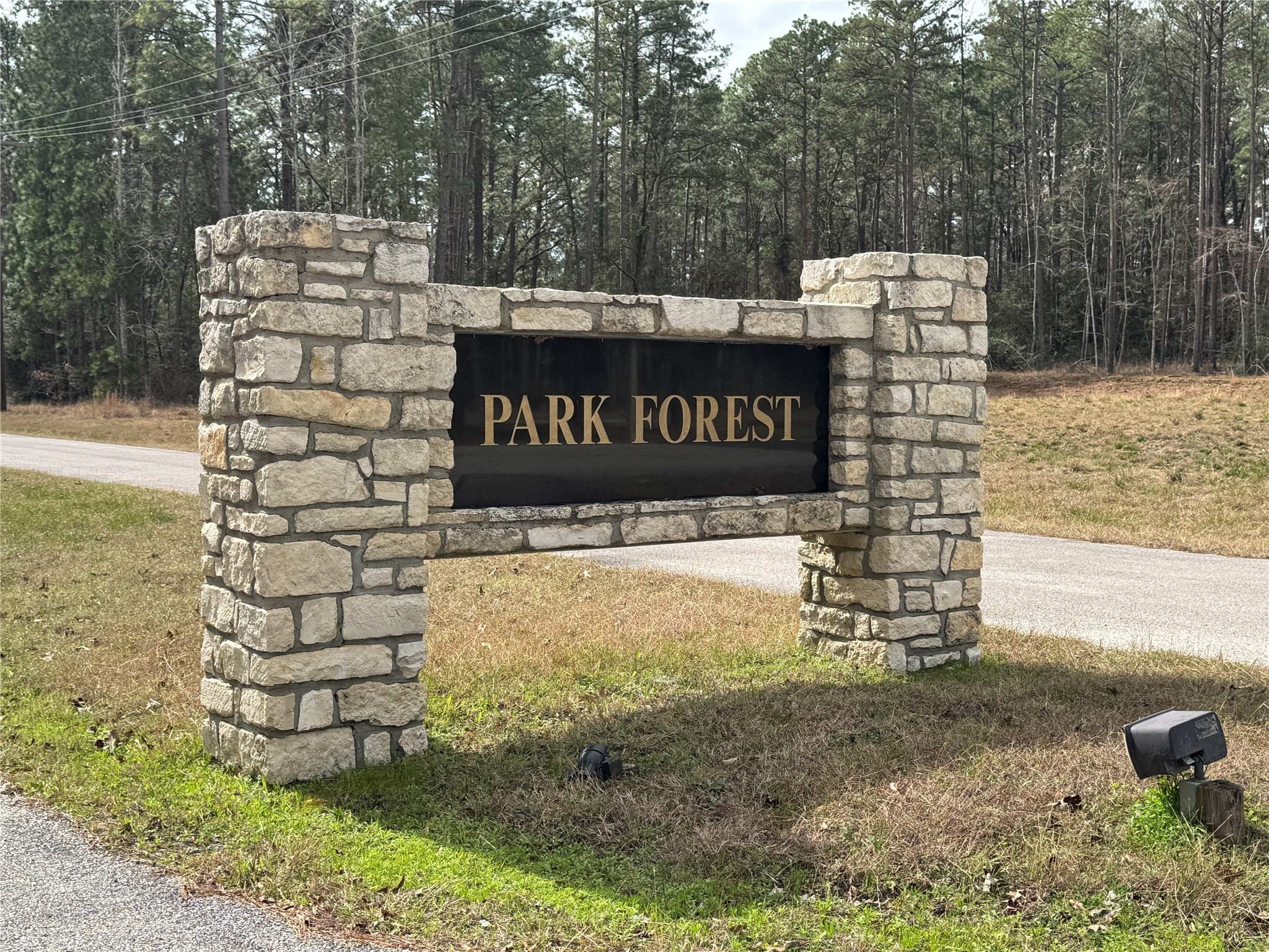 Tbd Tbd Park Point Blank, TX 77364 - Photo 3 of 14 Park Forest Section of Waterwood