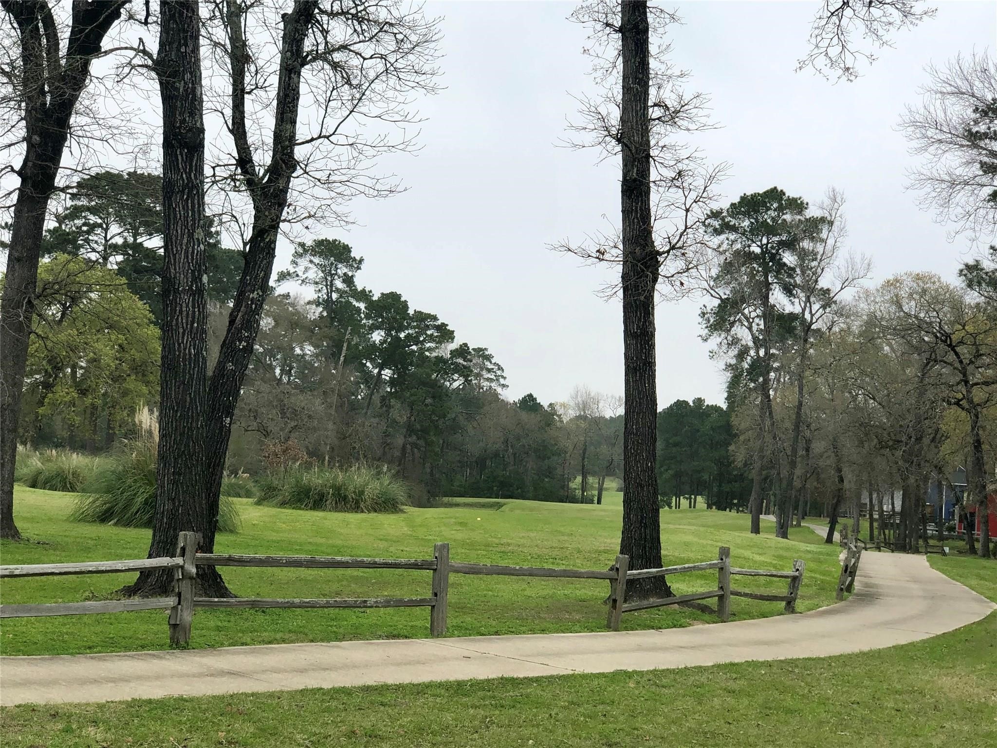 Tbd Tbd Park Point Blank, TX 77364 - Photo 6 of 14