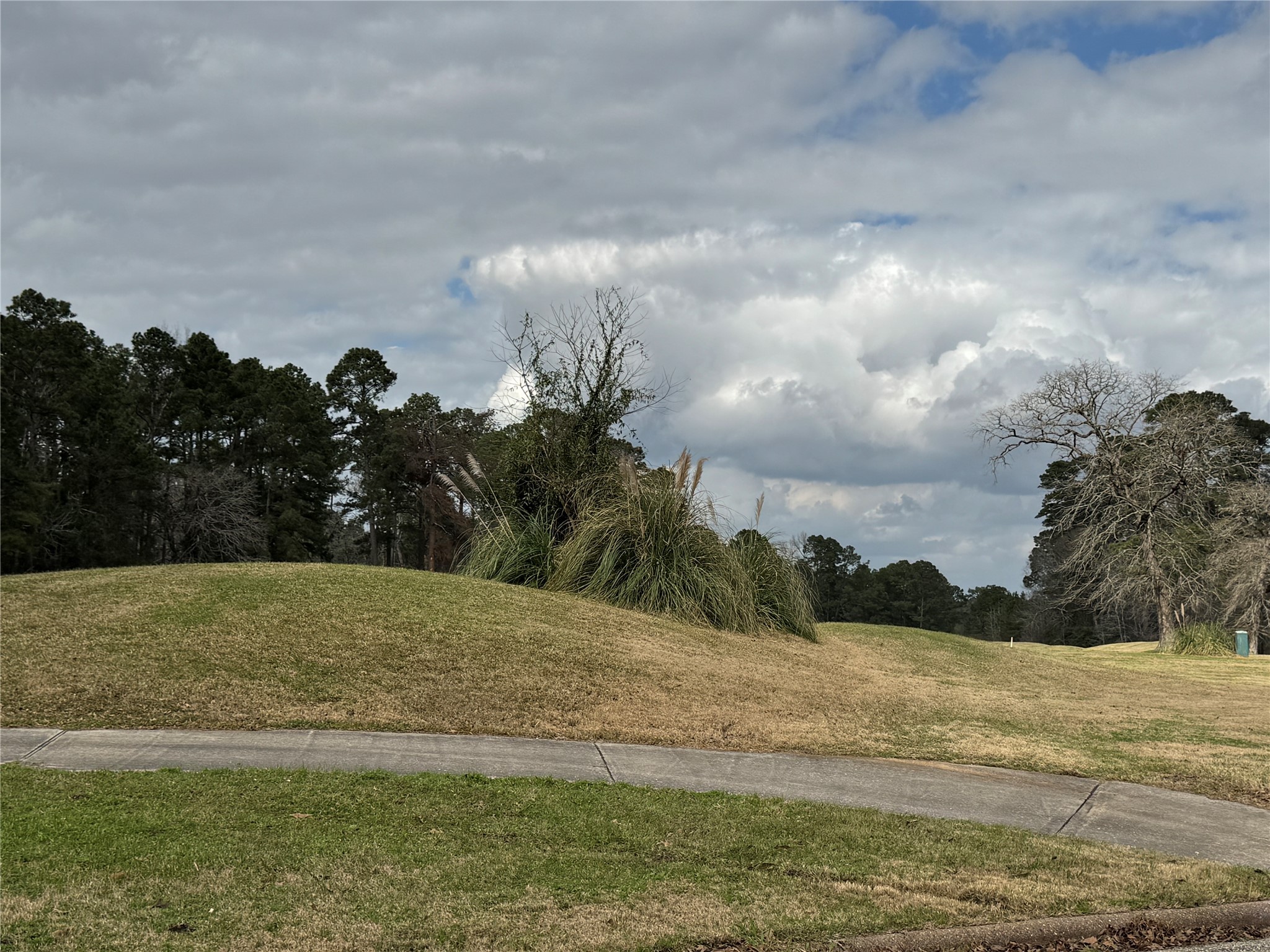Tbd Tbd Park Point Blank, TX 77364 - Photo 7 of 14 Golf Course
