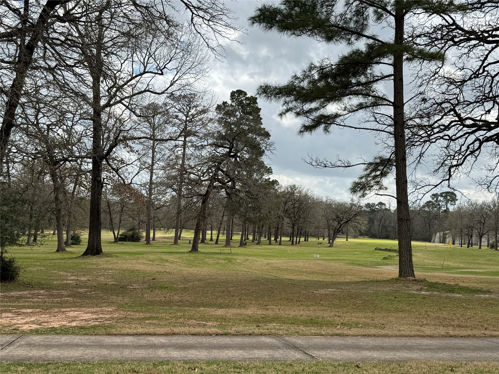 Tbd Tbd Park Point Blank, TX 77364 - Photo 8 of 14