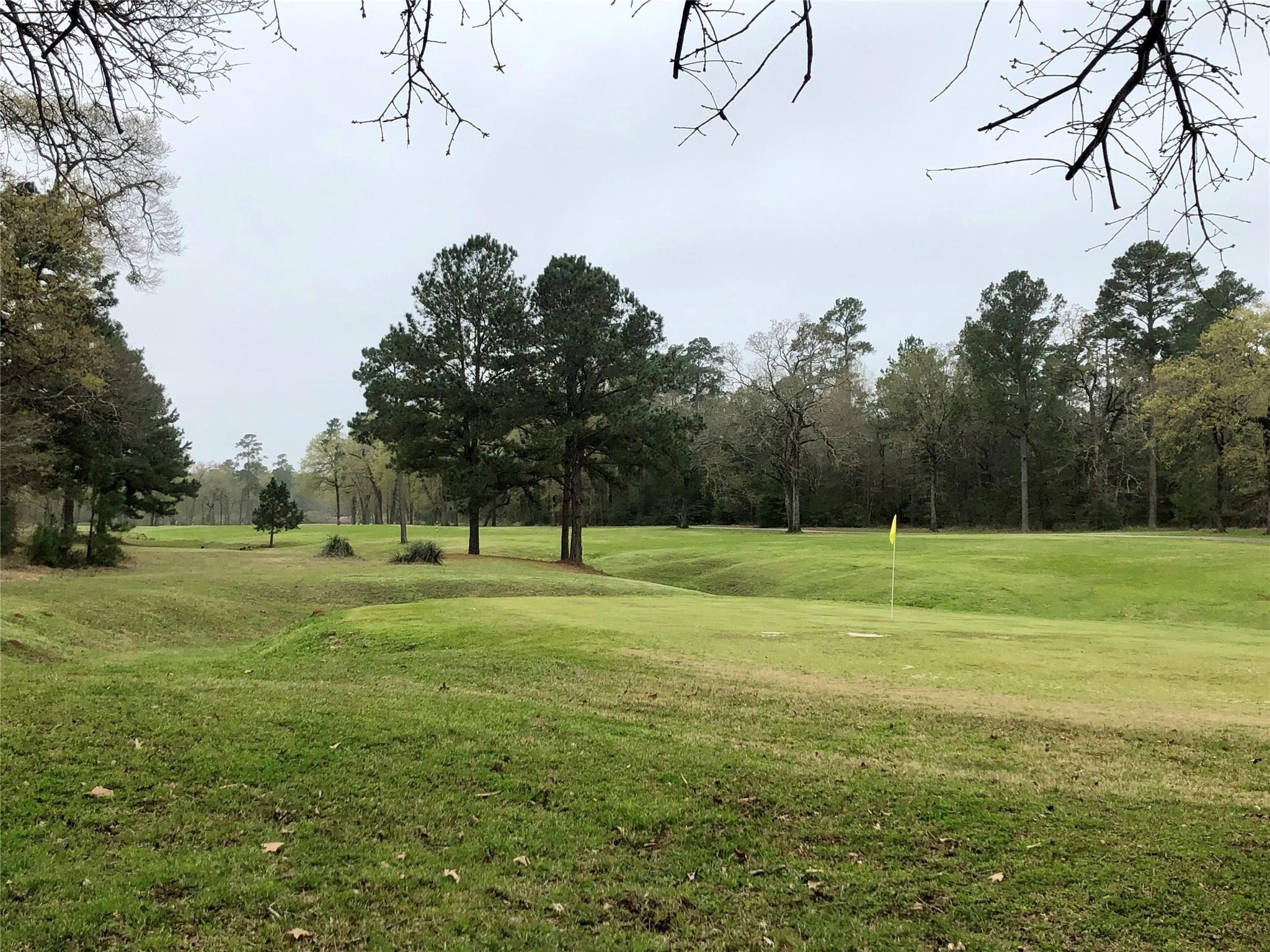 Tbd Tbd Park Point Blank, TX 77364 - Photo 9 of 14