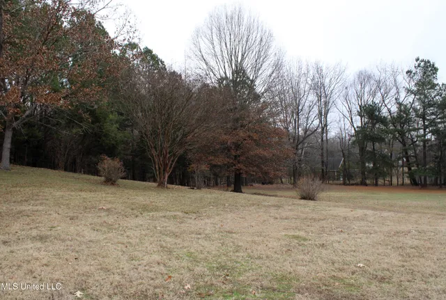 $435,000 | 12190 Whispering Pines Drive, Olive Branch, MS 38654