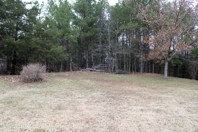 $435,000 | 12190 Whispering Pines Drive, Olive Branch, MS 38654