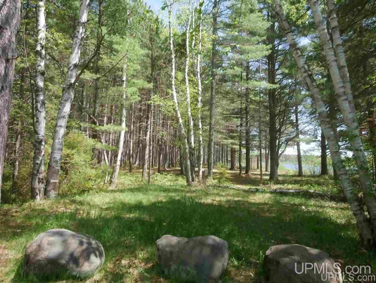 33985 Rice Landing Rd Lake Lake Linden, MI 49945 - Photo 12 of 30