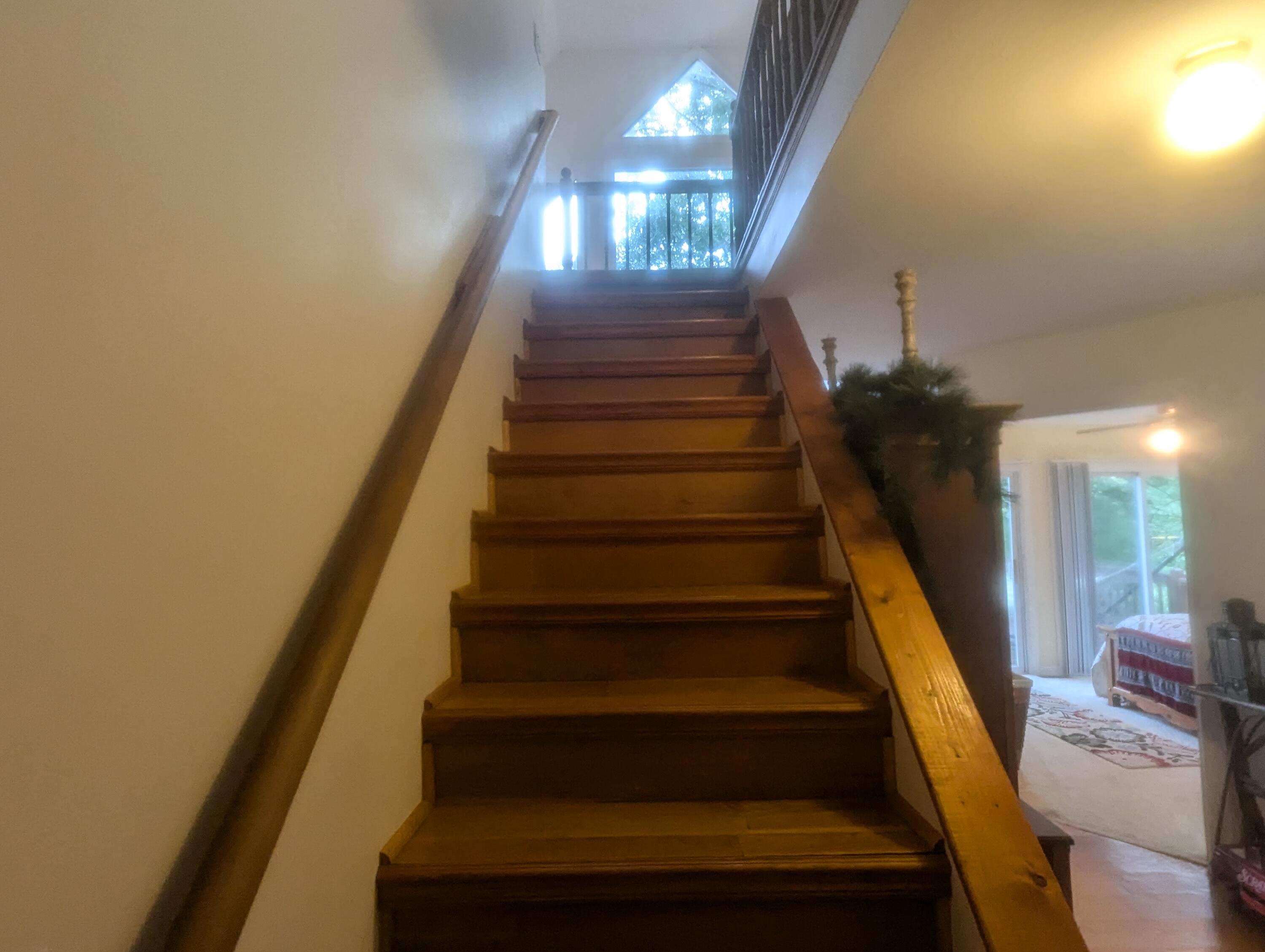 484 Mark Road Spring City, TN 37381 - Photo 21 of 41 PXL_20240724_220119902