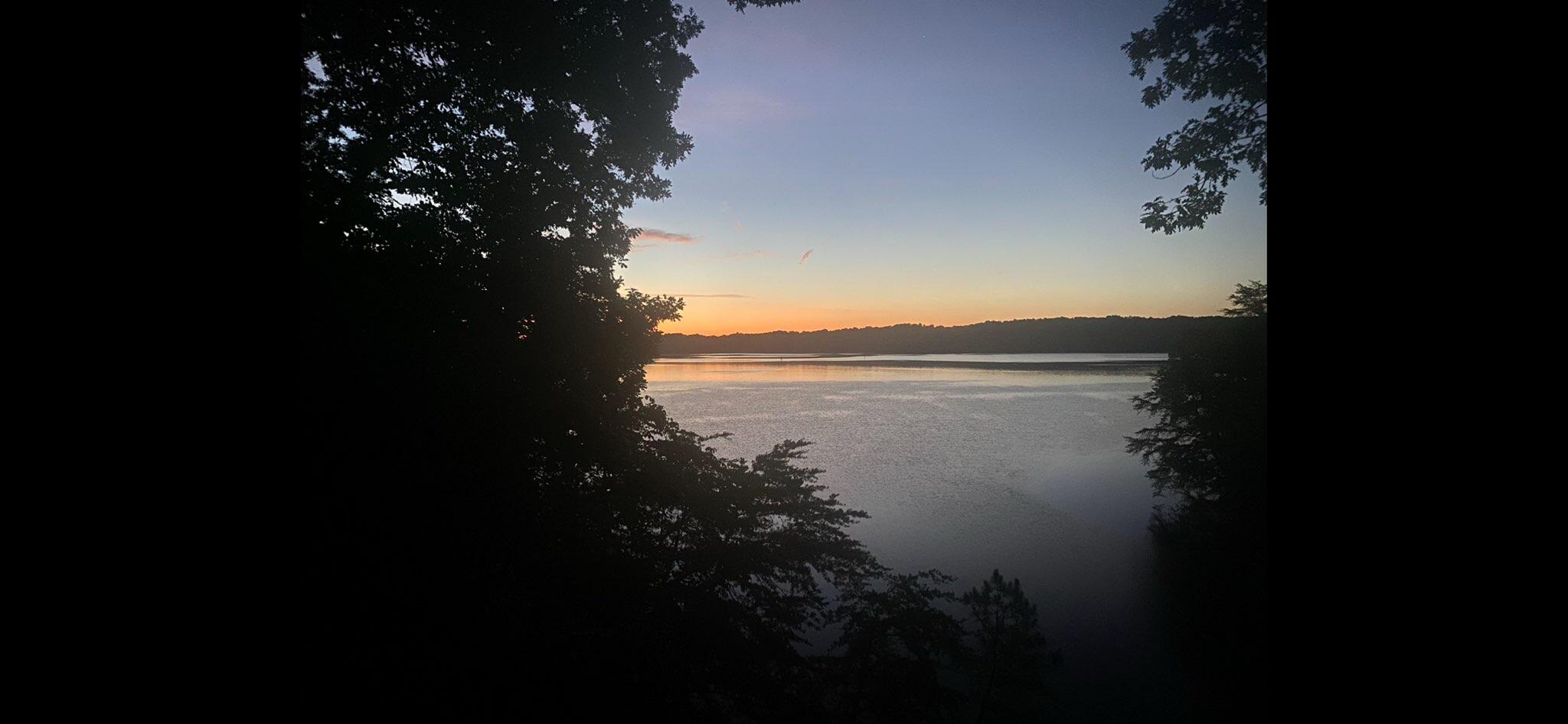 484 Mark Road Spring City, TN 37381 - Photo 3 of 41 484 Mark Road 2