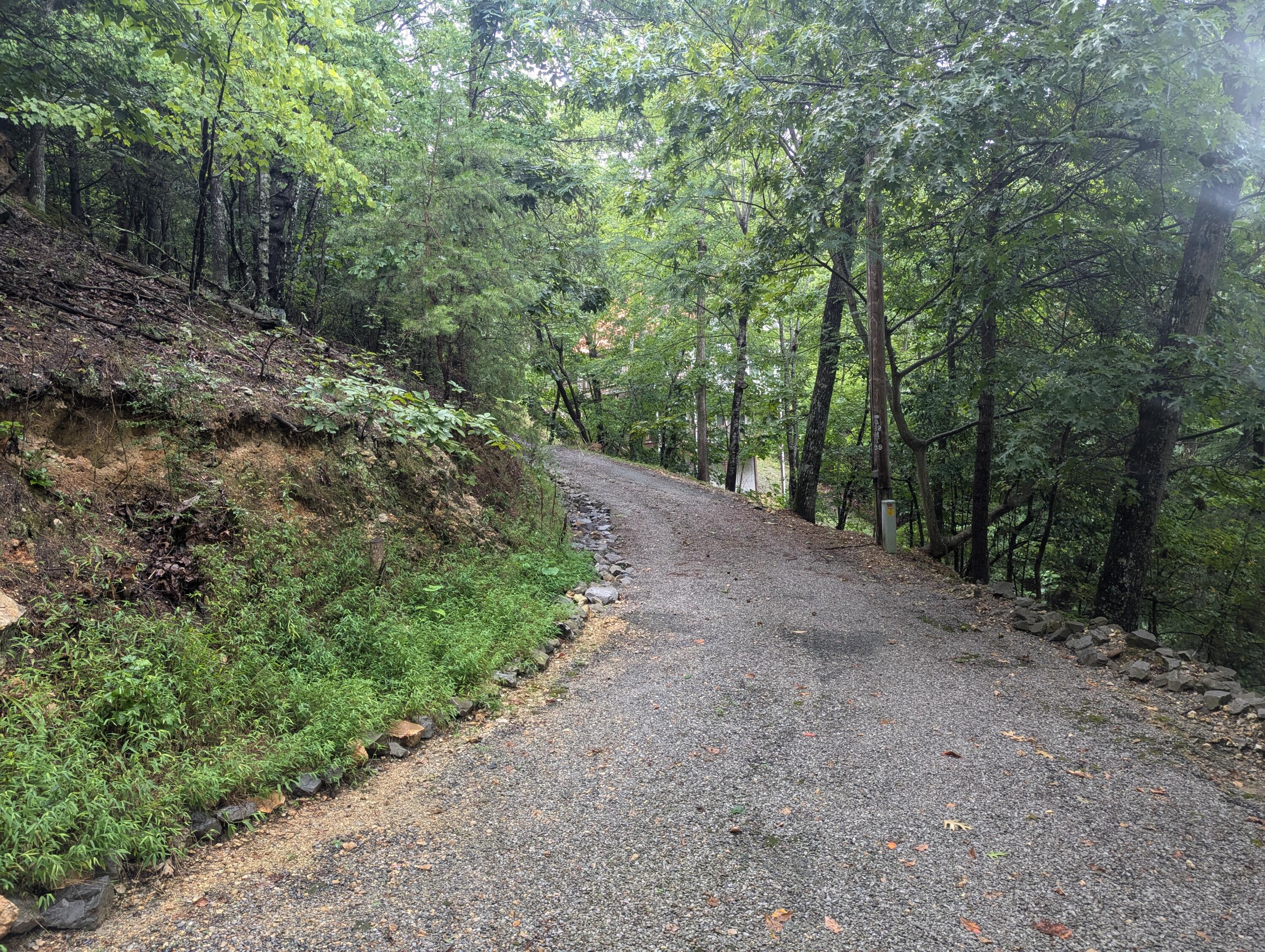 484 Mark Road Spring City, TN 37381 - Photo 40 of 41 PXL_20240724_222324843