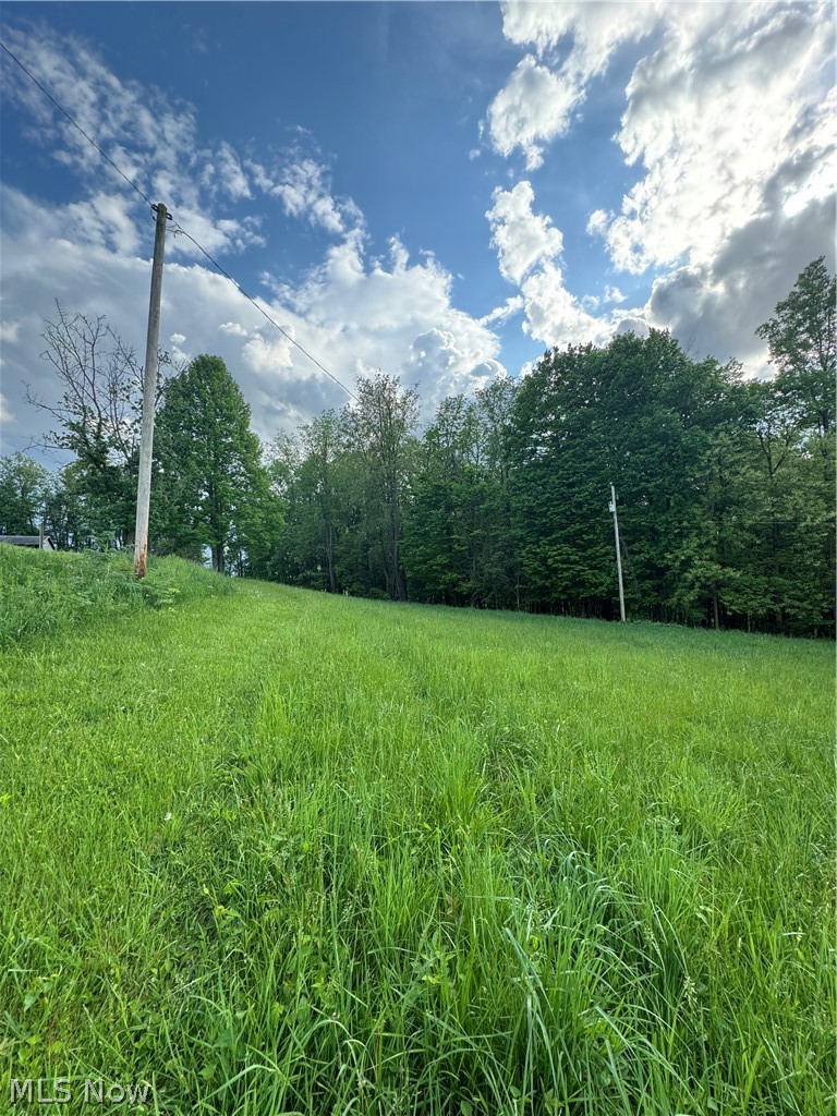 72260 Colerain Road Bridgeport, OH 43912 - Photo 3 of 19 View of local wilderness
