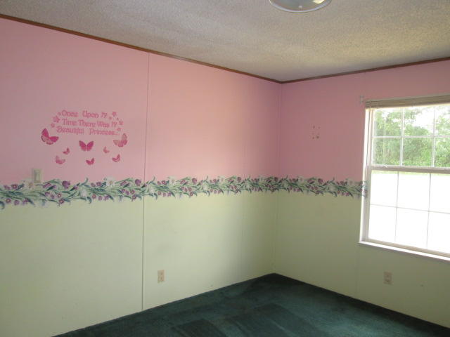 7277 Dry Hill Road Ferrum, VA 24088 - Photo 22 of 24 IMG_3323