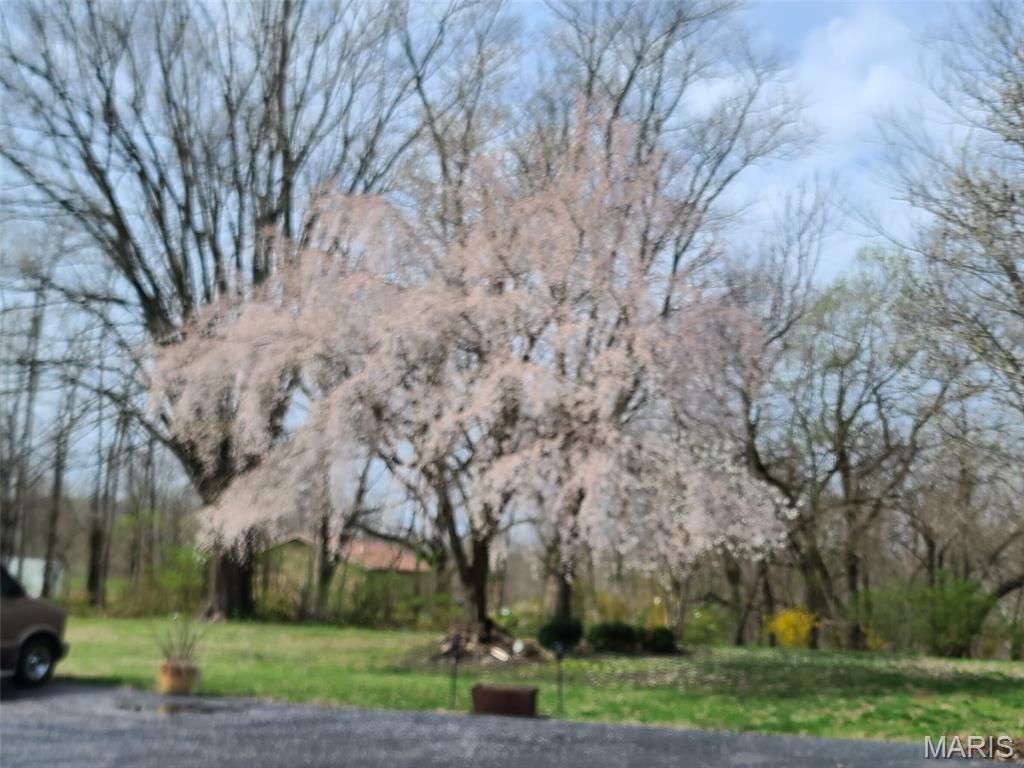1221 South Clinton Road Caseyville, IL 62232 - Photo 40 of 57 Gallery Image 40
