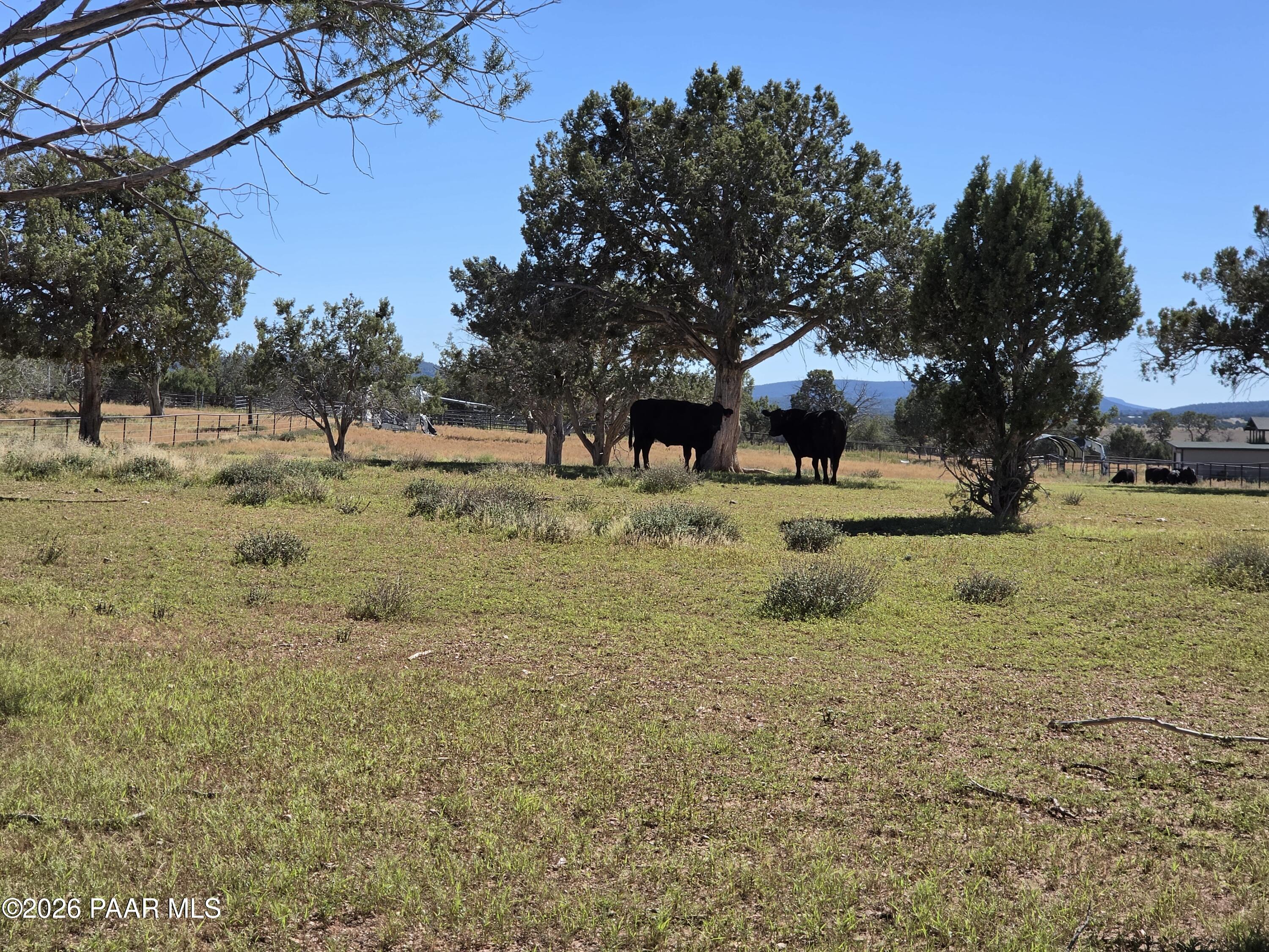 33425 Cowboy Clint Road Seligman, AZ 86337 - Photo 106 of 150 20261004_135227