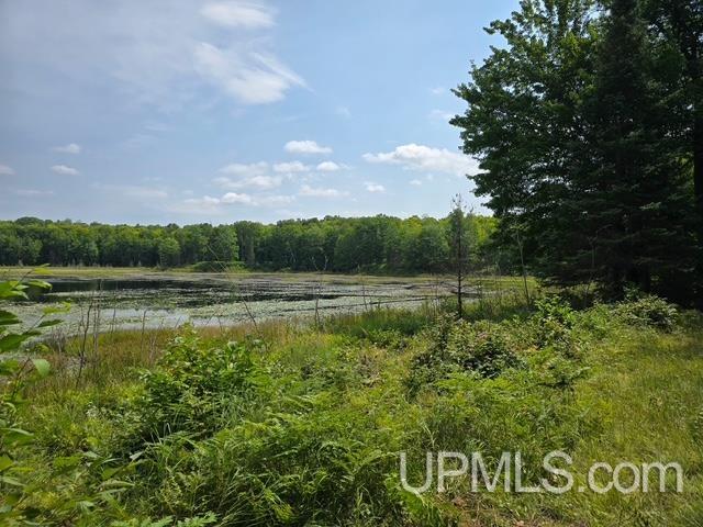 N14219 Newberg Road Channing, MI 49815 - Photo 8 of 11