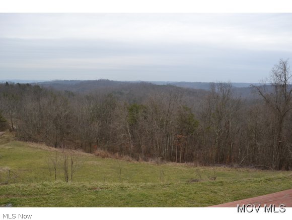 1349 Bogal Ridge Road Elizabeth, WV 26143 - Photo 7 of 12