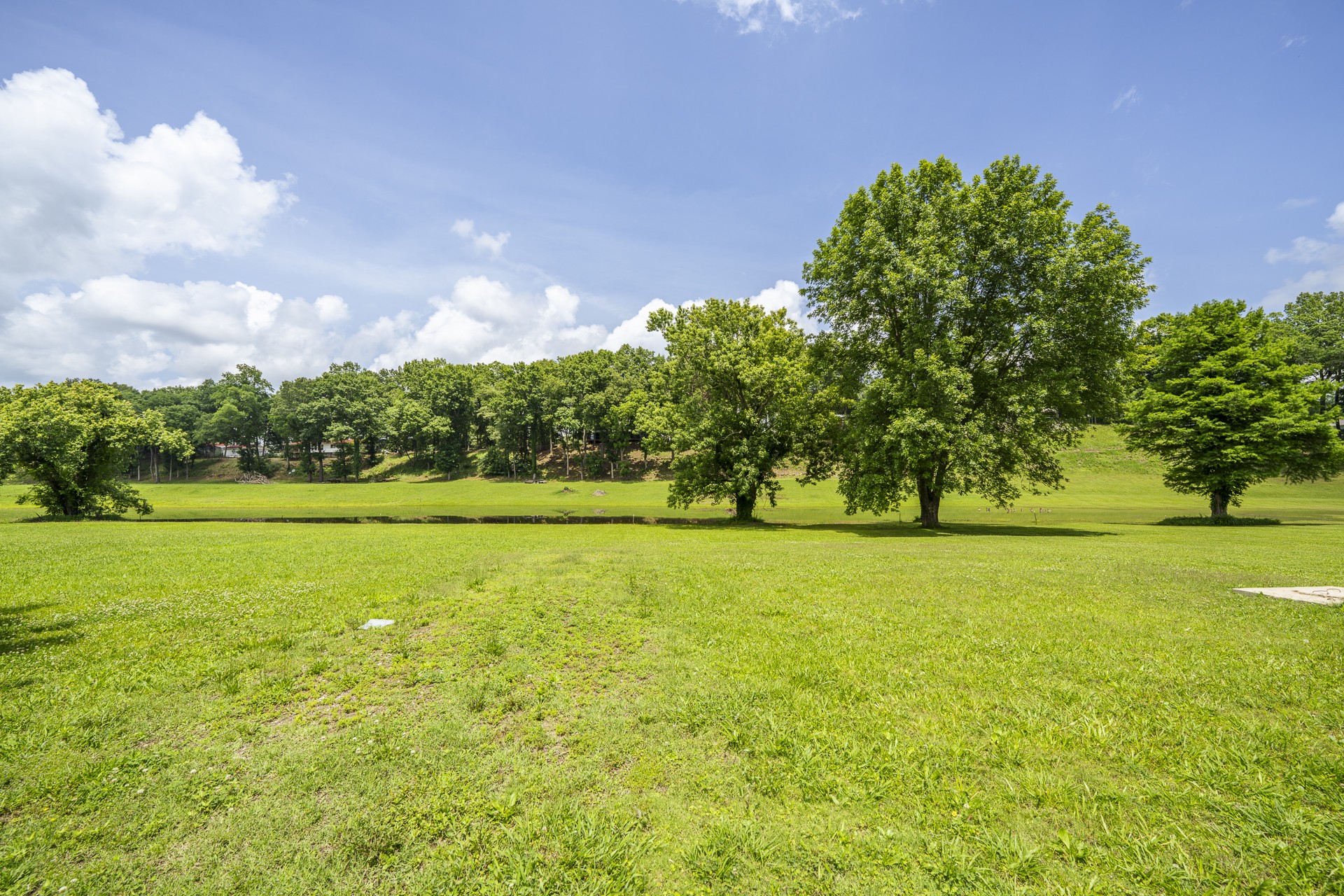 694 River Road Clifton, TN 38425 - Photo 14 of 26