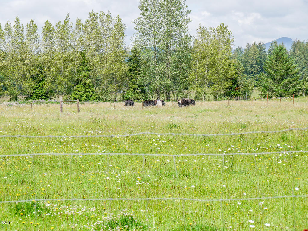 847 Hamer Road Siletz, OR 97380 - Photo 48 of 79 Owner's Yaks