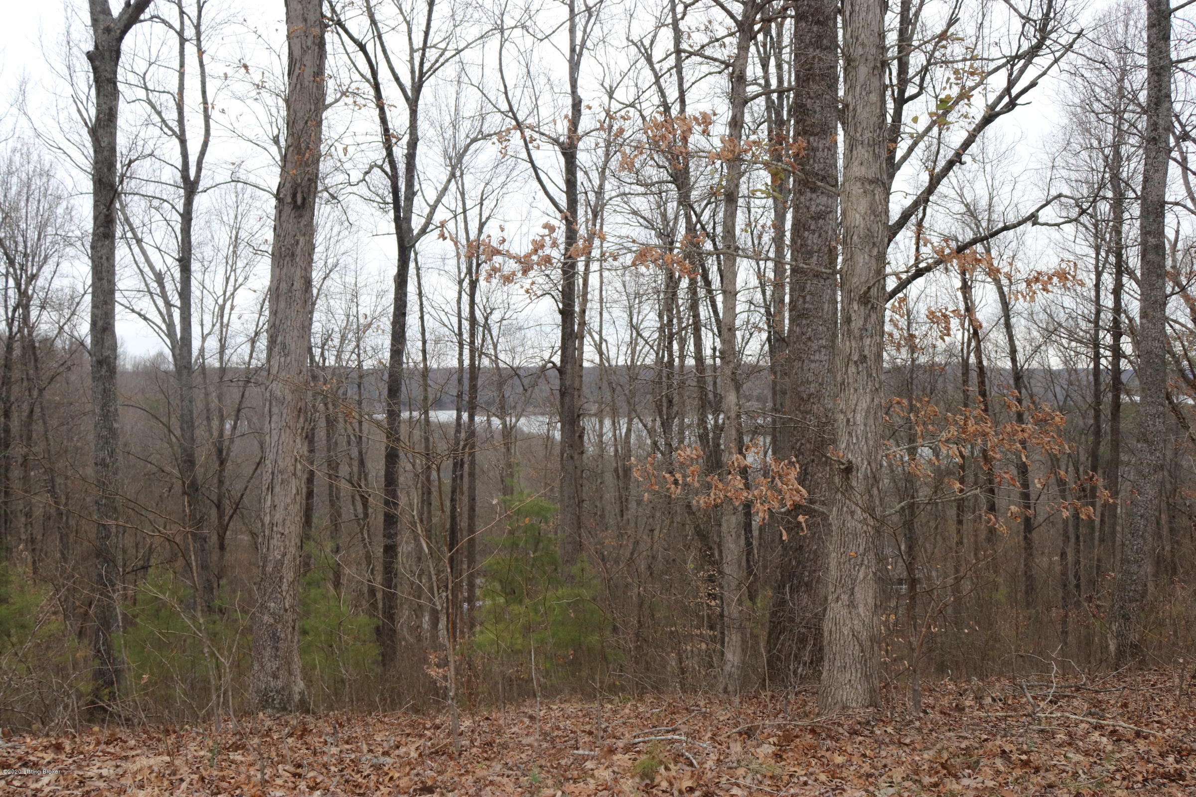2 Noah Stevenson Road Leitchfield, KY 42754 - Photo 1 of 1 Lot 2 Oakmont Bay Section 2