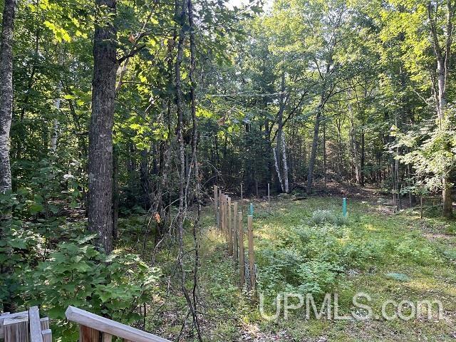2048 Deer Lake Road Ishpeming, MI 49849 - Photo 38 of 40