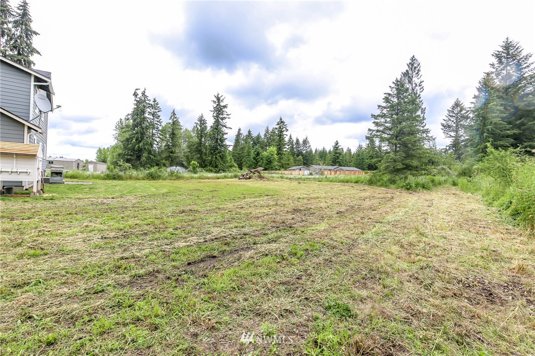 36313 Allen Road South Roy, WA 98580 - Photo 20 of 20 a view of a field with an trees in the background