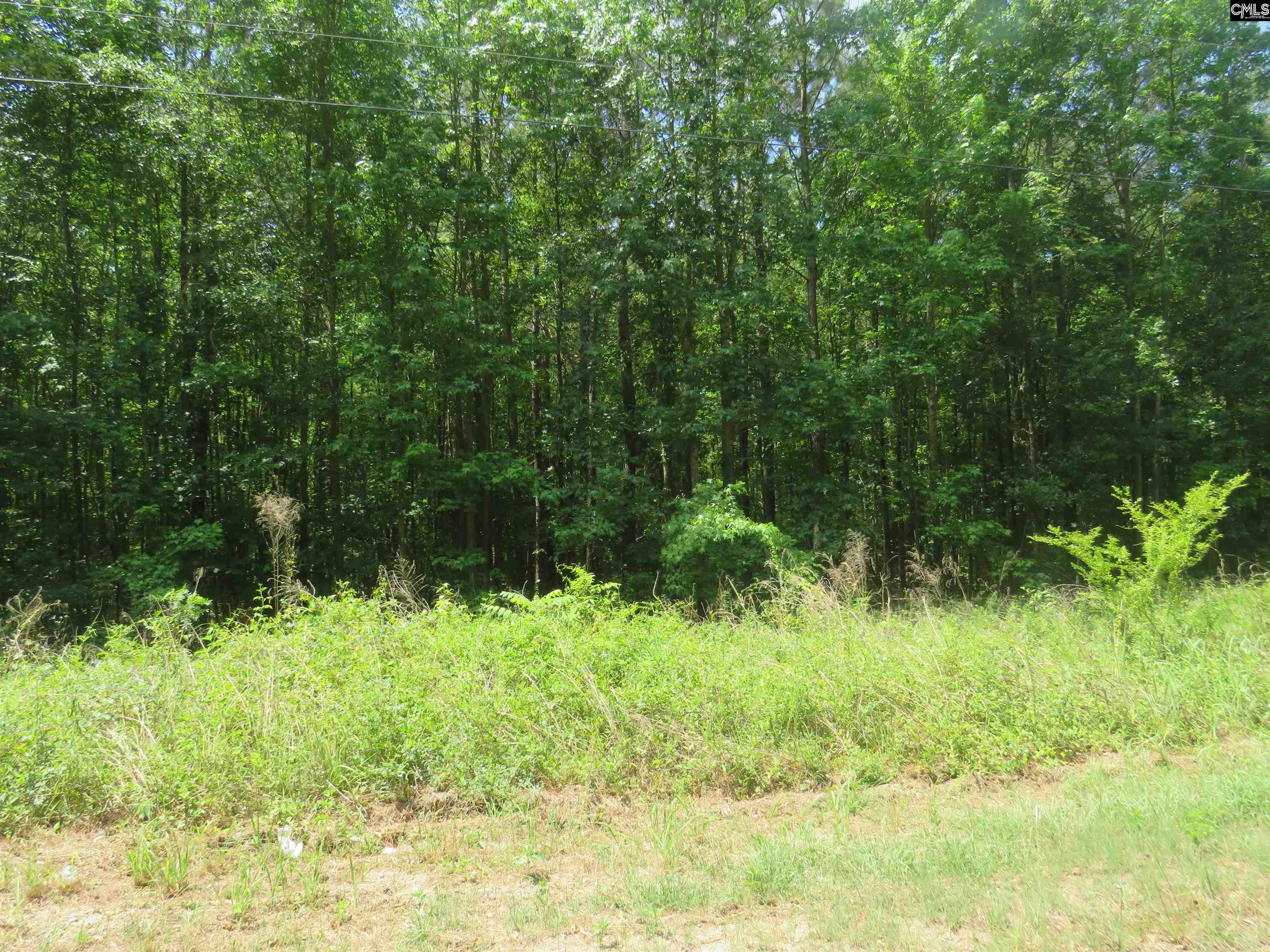 Old Eastover Road Eastover, SC 29044 - Photo 13 of 13