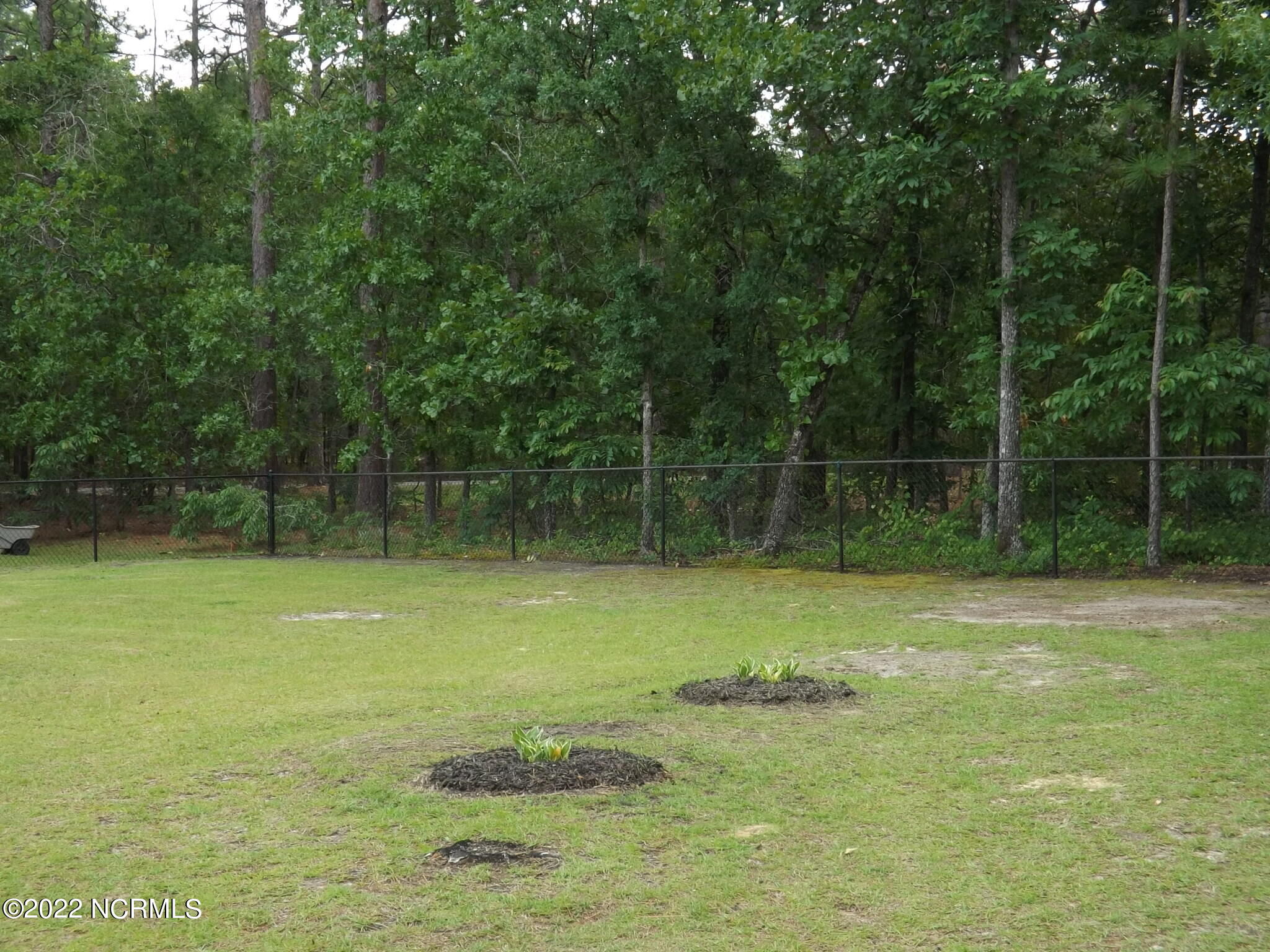 12620 Barnes Bridge Road Laurinburg, NC 28352 - Photo 52 of 53 DSCF1186