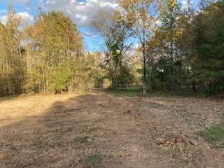 148 Ida Wells Road Deville, LA 71328 - Photo 8 of 15