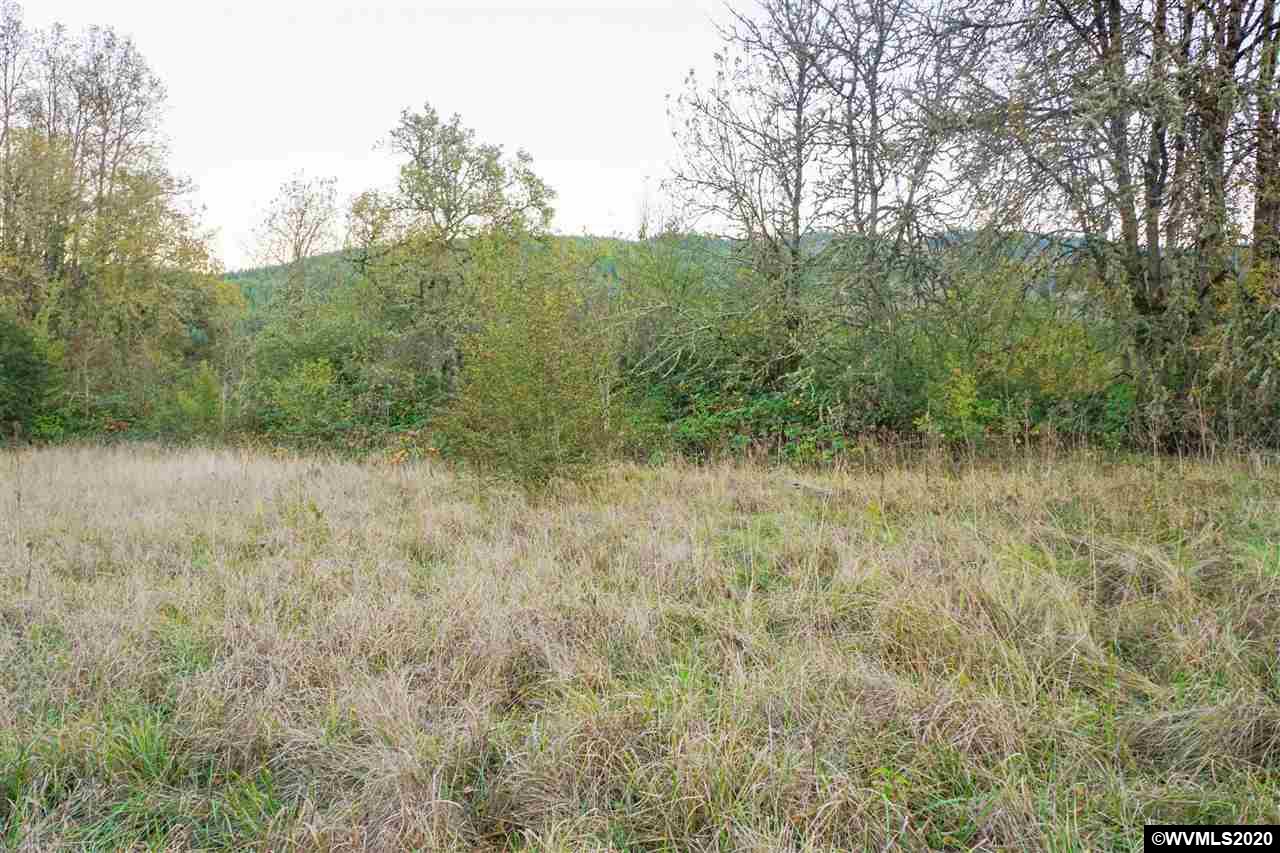 30183 Townsend (next To) (parcel Road Lebanon, OR 97355 - Photo 15 of 19