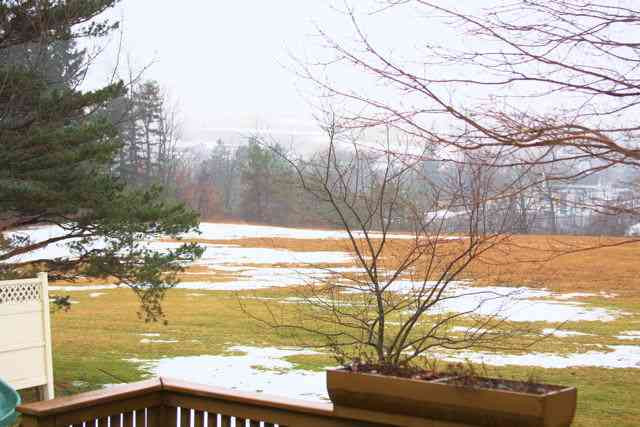 41 Rt 412 Westerlo, NY 12193 - Photo 10 of 10 Photo 10