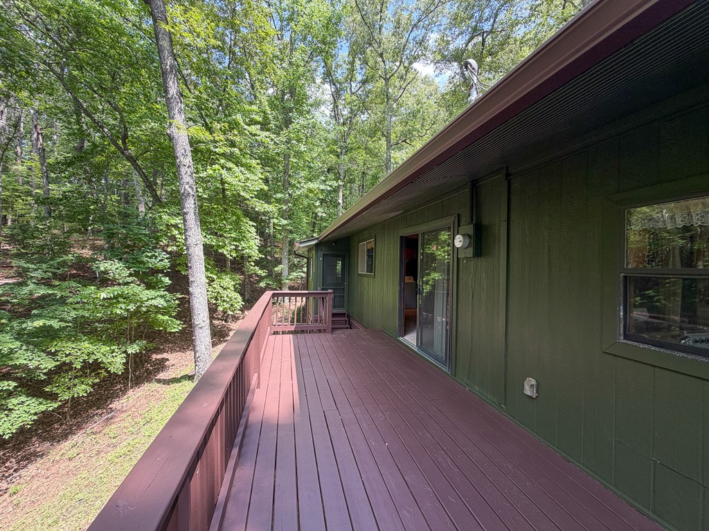 1253 Tipton Springs Road Morganton, GA 30560 - Photo 26 of 48