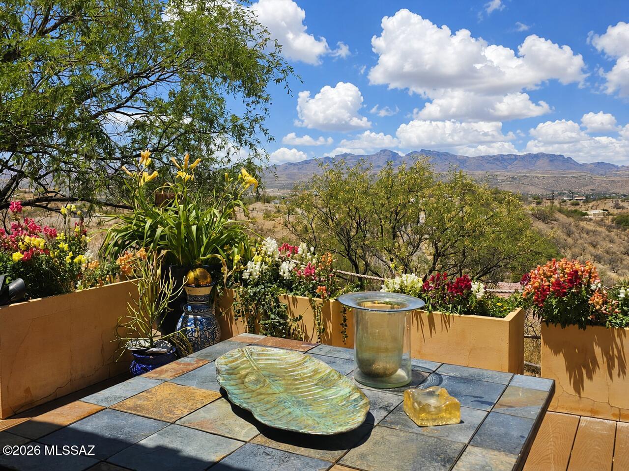 433 Camino Canoa Rio Rico, AZ 85648 - Photo 29 of 36