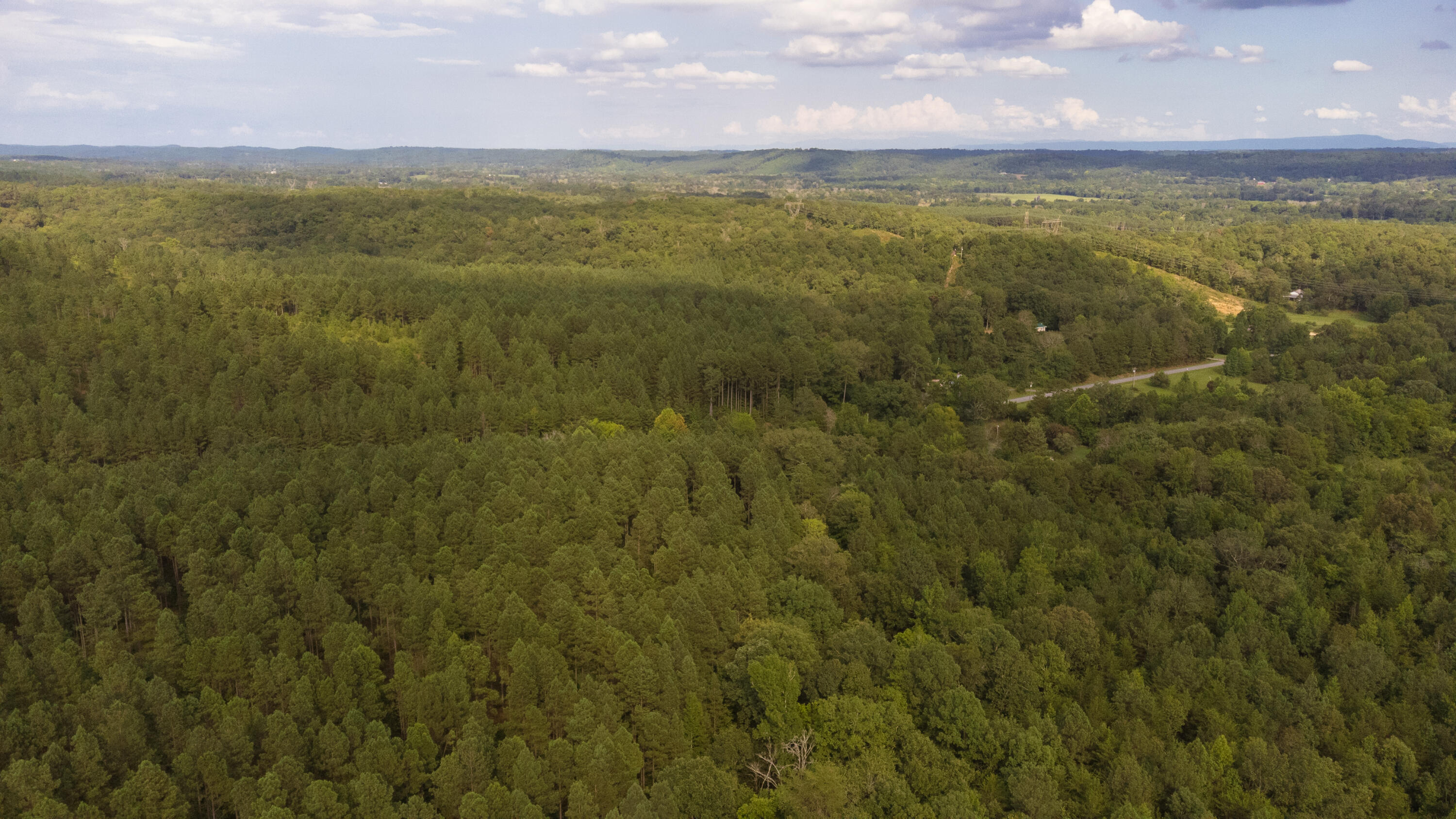 17 M Armstrong Ferry Road Dayton, TN 37321 - Photo 11 of 20 17 Arm 9