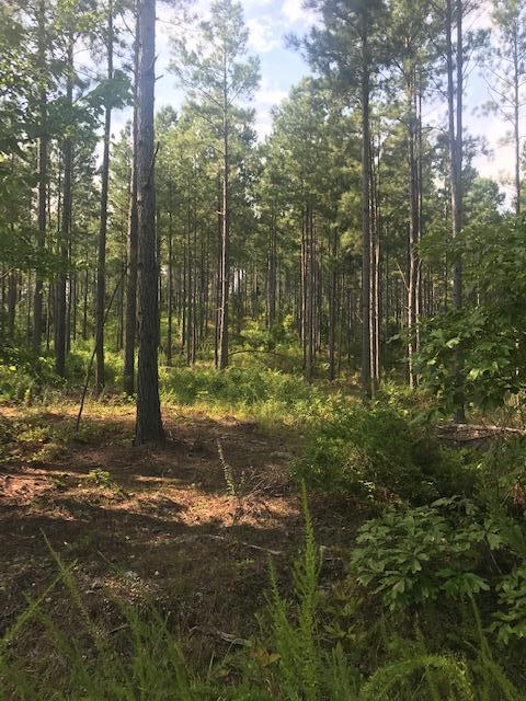17 M Armstrong Ferry Road Dayton, TN 37321 - Photo 3 of 20 17 ground 3