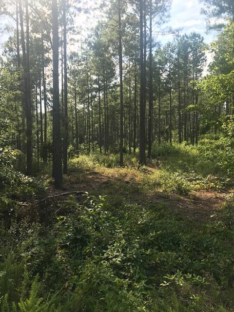 17 M Armstrong Ferry Road Dayton, TN 37321 - Photo 5 of 20 17 ground 5