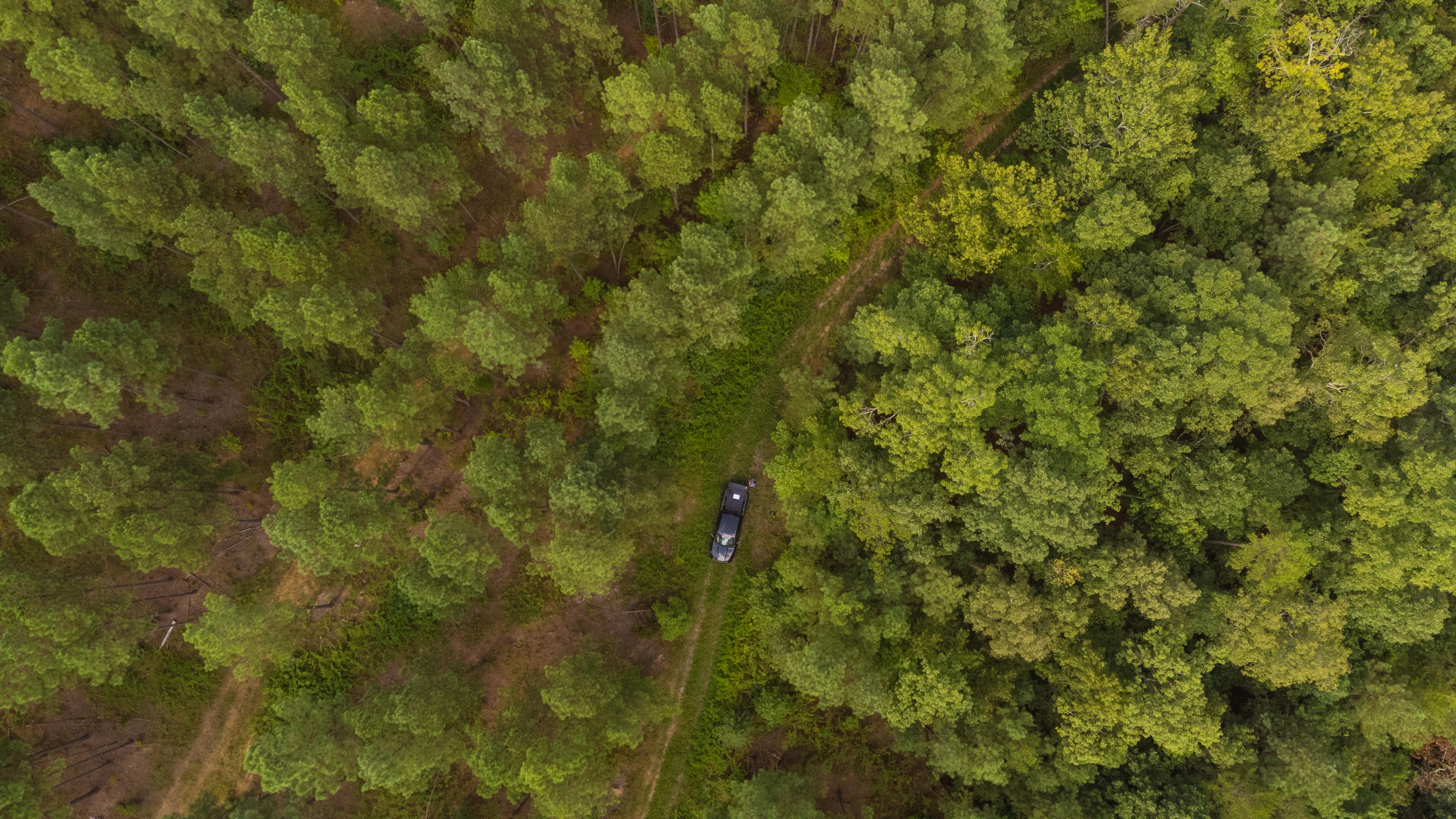 17 M Armstrong Ferry Road Dayton, TN 37321 - Photo 8 of 20 17 Arm 6
