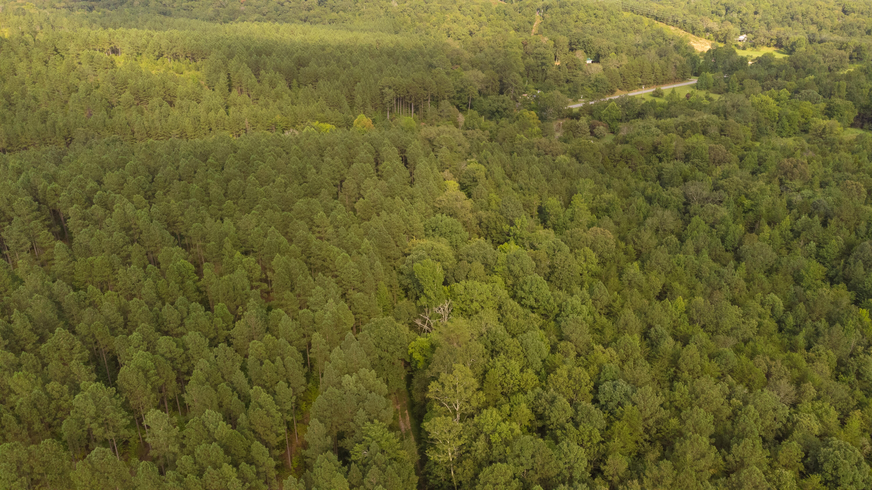 17 M Armstrong Ferry Road Dayton, TN 37321 - Photo 10 of 20 17 Arm 8