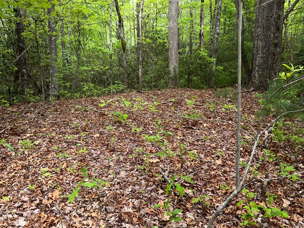 182 Revis Road Andrews, NC 28901 - Photo 28 of 32