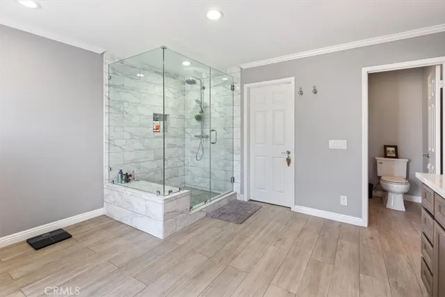 a bathroom with a shower and a toilet