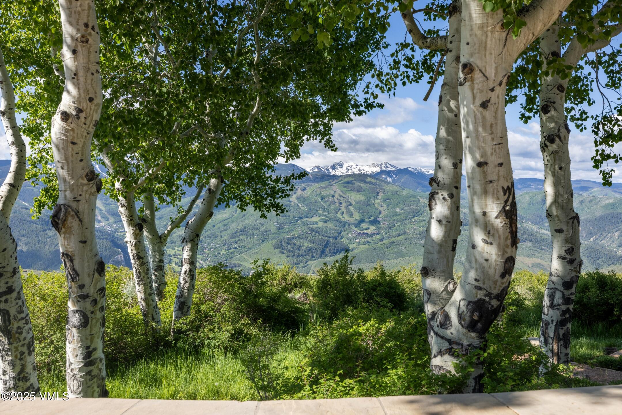 84 Wildrose Avon, CO 81620 - Photo 14 of 55 10.5 Patio