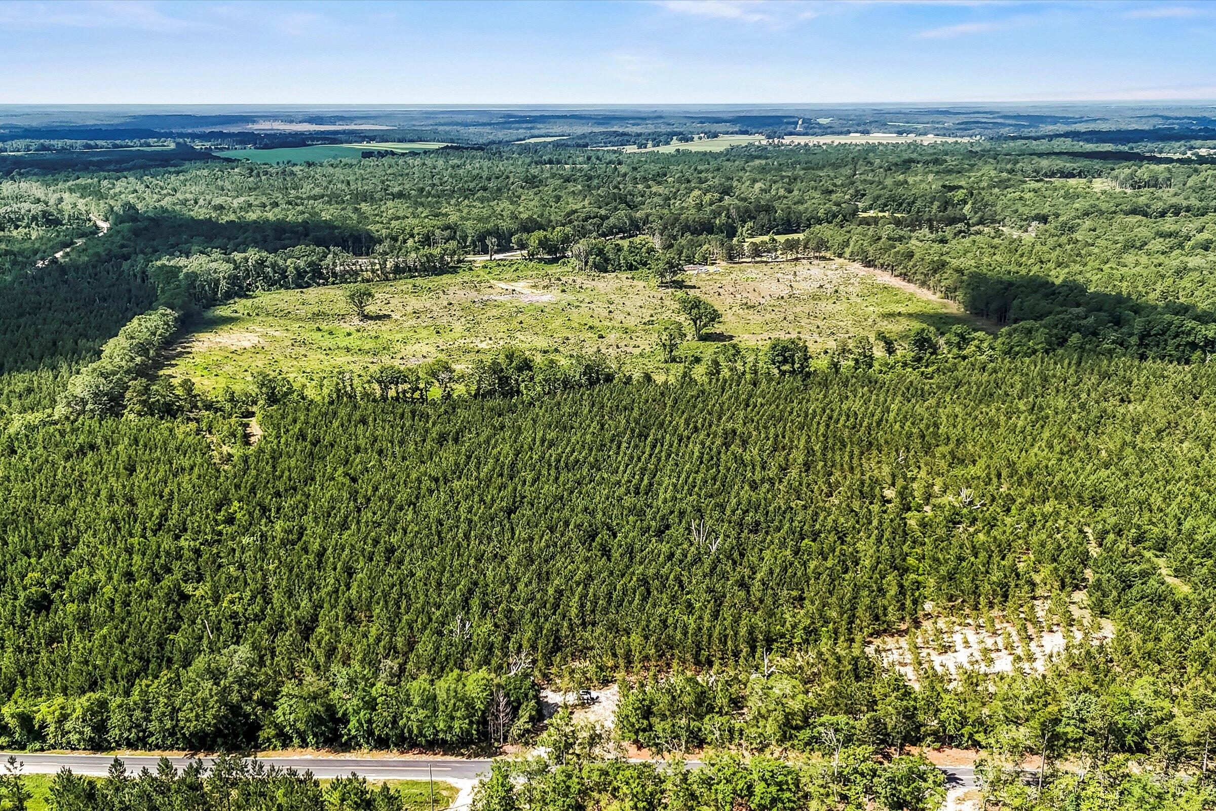 Lot 2 Mt Beulah Road Windsor, SC 29856 - Photo 2 of 15