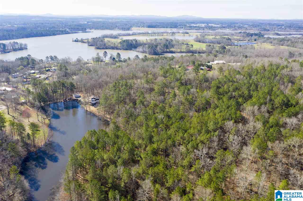 593 Lock 4 Road Riverside, AL 35135 - Photo 8 of 49