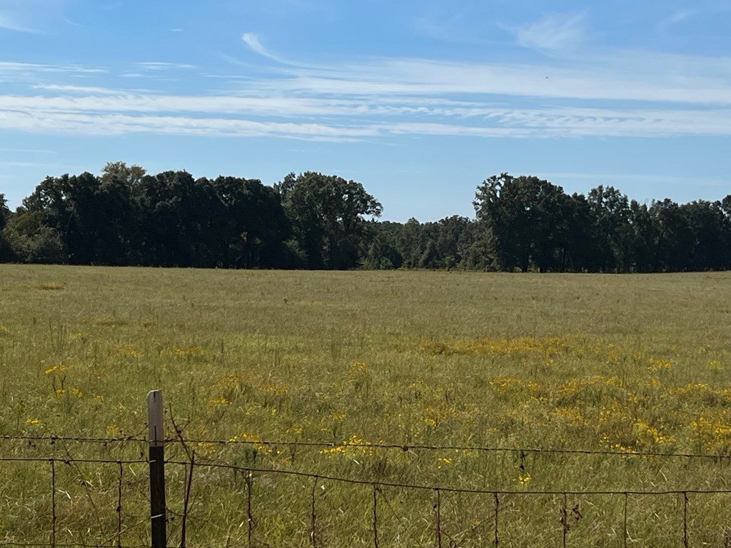 327 Deer Point Road Georgetown, GA 39854 - Photo 9 of 10