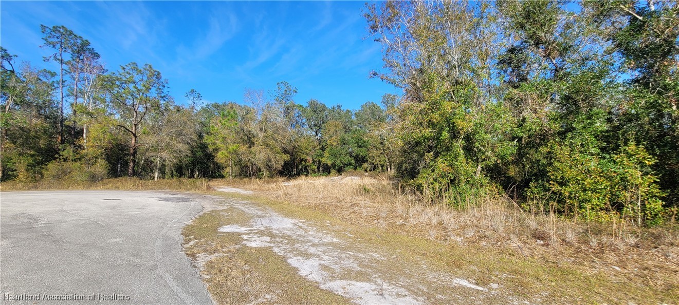 Golf Hammock Road Wauchula, FL 33873 - Photo 1 of 3 a view of a yard with a tree