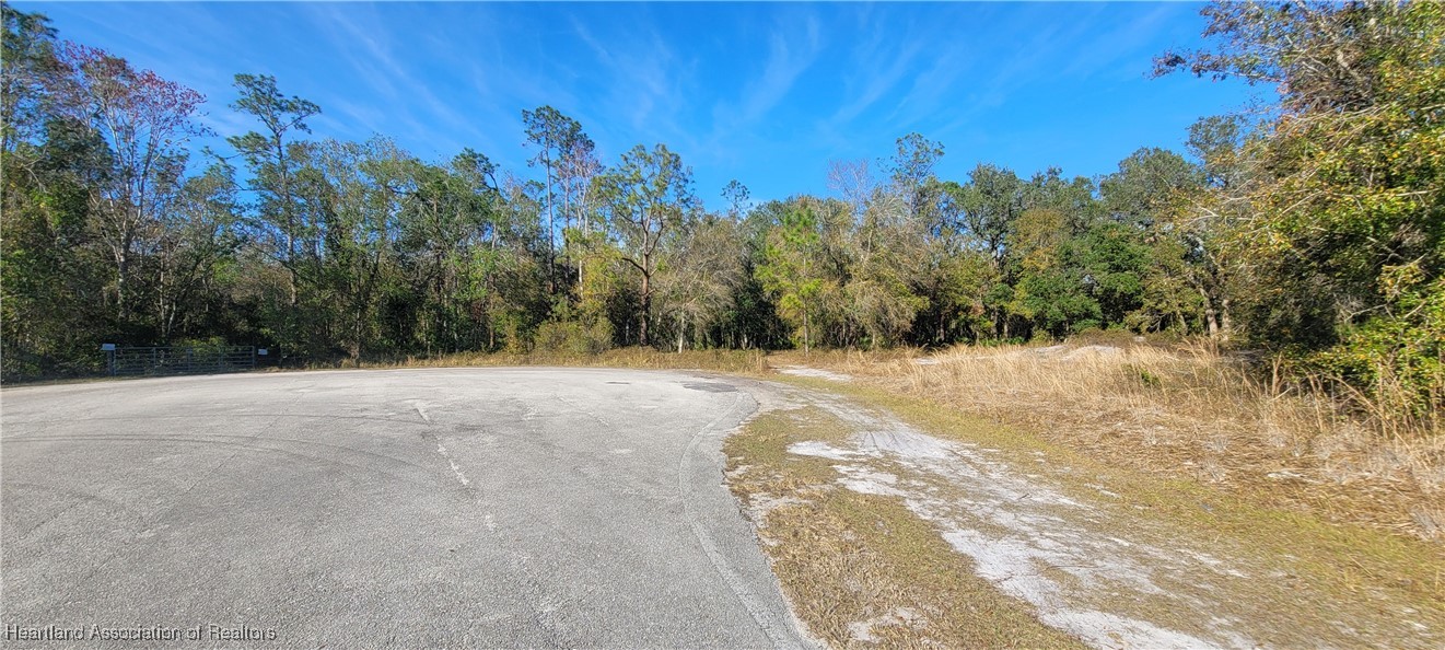 Golf Hammock Road Wauchula, FL 33873 - Photo 2 of 3 a view of outdoor space with trees all around