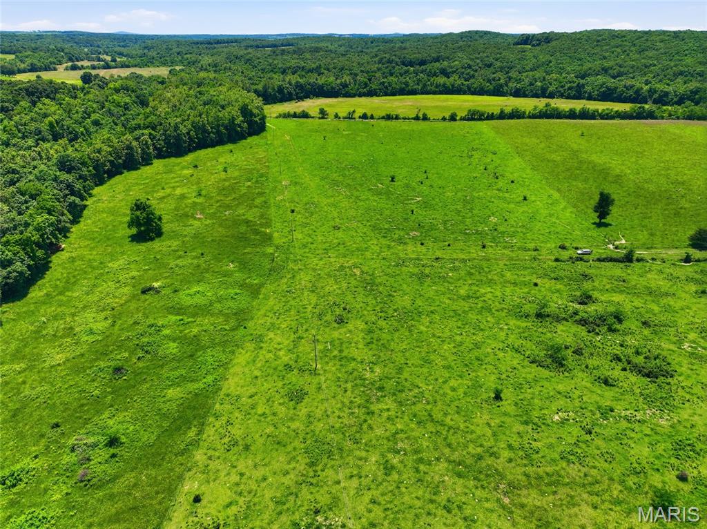 0 Pleasant Hill Road Mountain Grove, MO 65711 - Photo 26 of 51