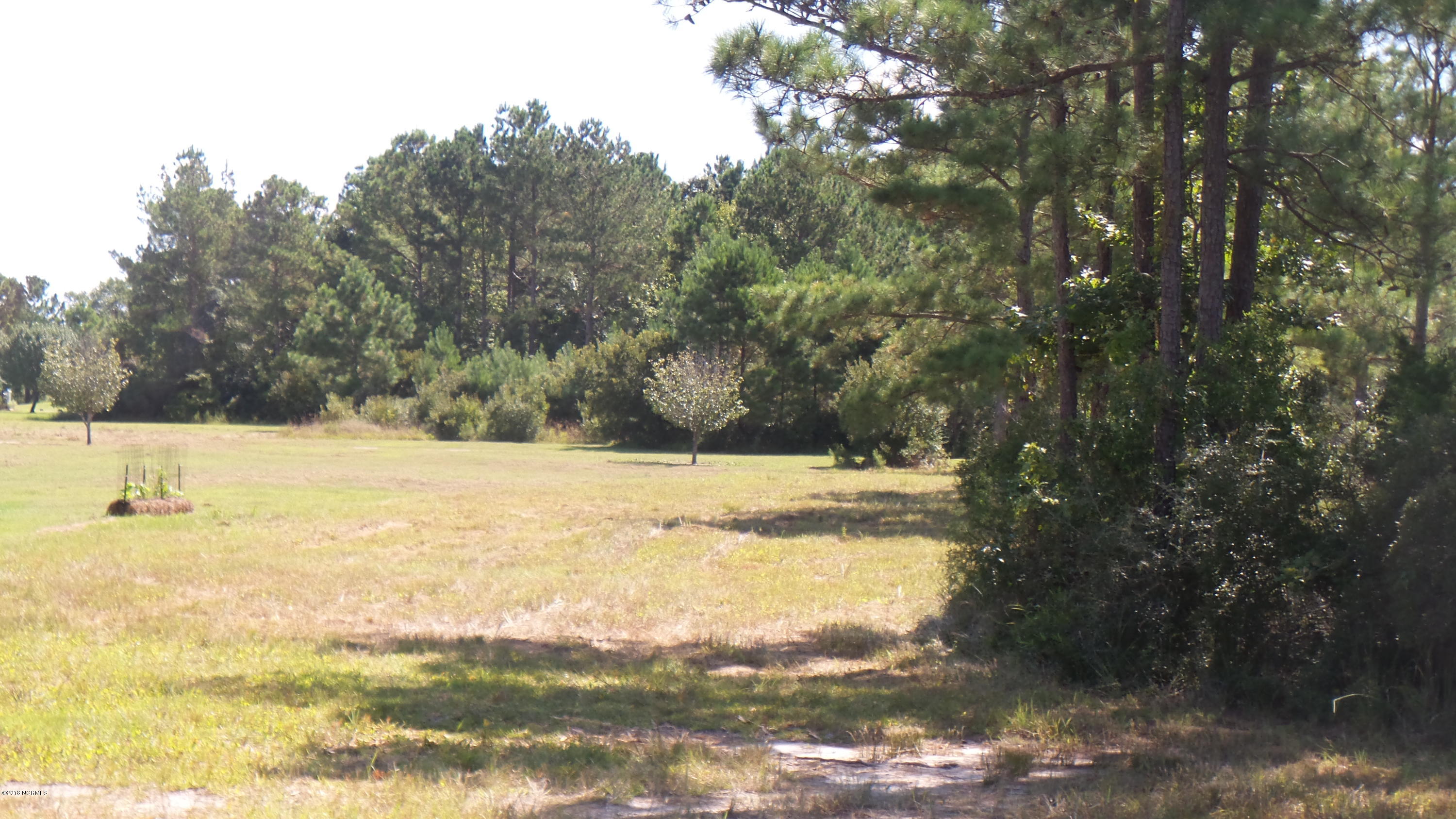 337 Cabin Creek Road Merritt, NC 28556 - Photo 5 of 21 Lot View fr Homesite