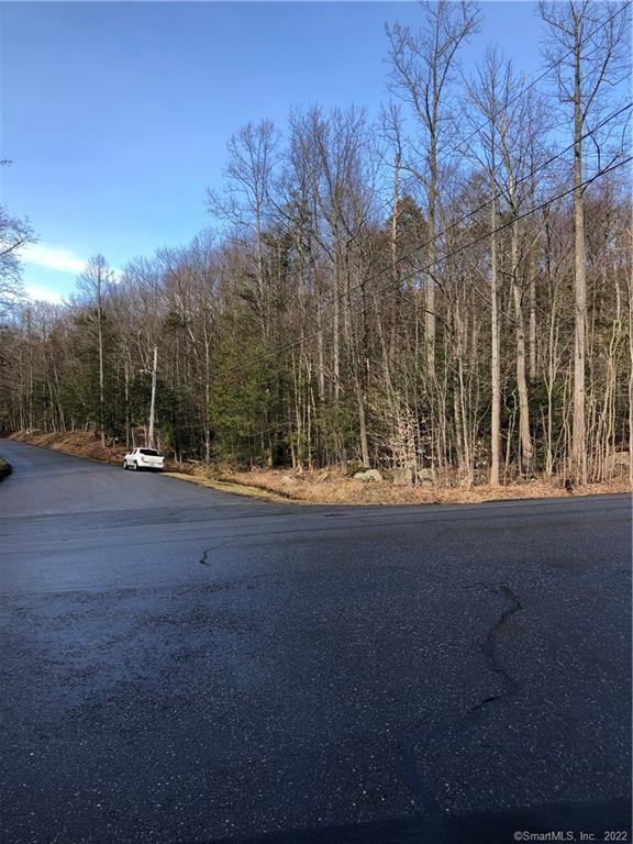 0 Kennedy Drive Torrington, CT 06790 - Photo 2 of 4 a view of outdoor space and yard