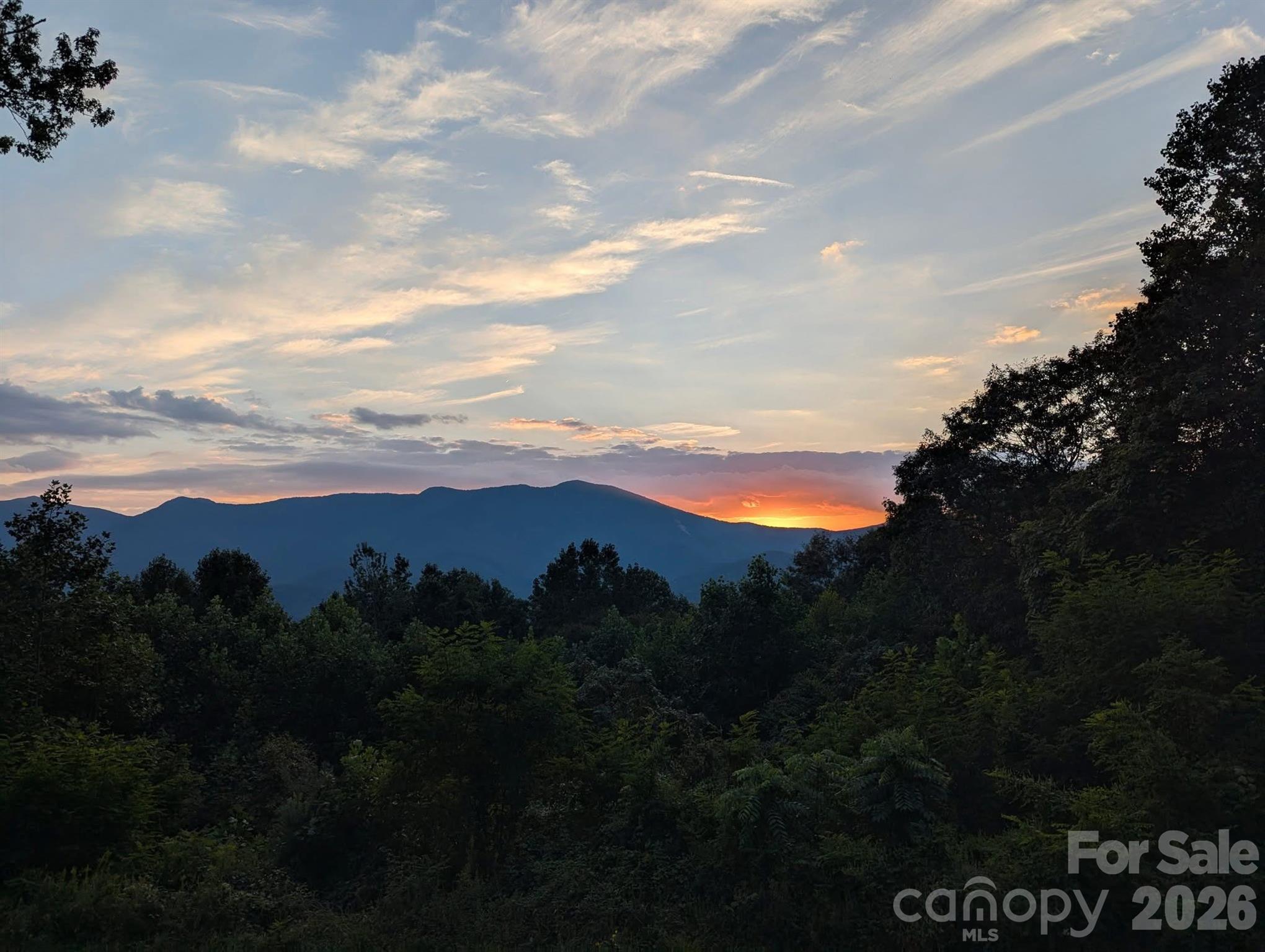 1856 Cabbage Patch Road Burnsville, NC 28714 - Photo 45 of 46 a view of sunset and yard